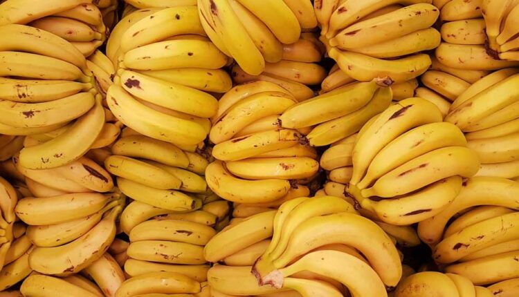 Health benefits of banana