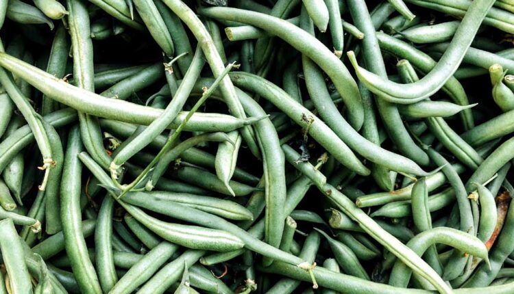 What are the health benefits of green beans