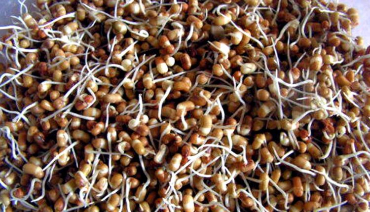 Health benefits of Matki