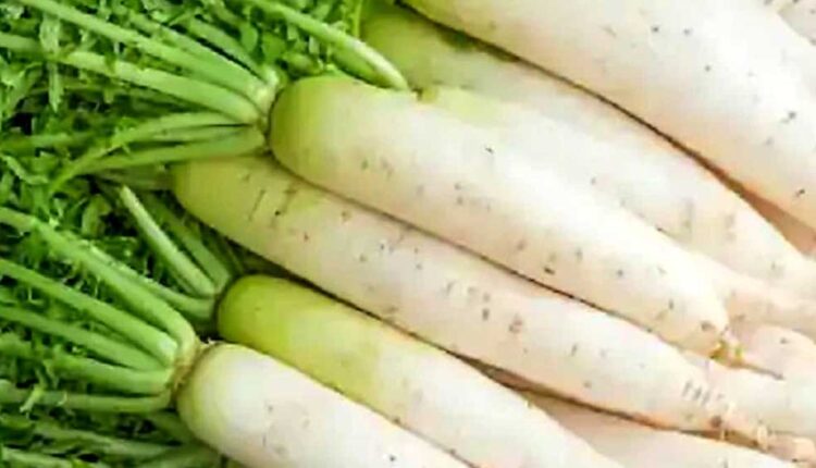 These are the health benefits of eating radish