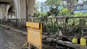 Bhujbal's appeal to the Commissioner: Keep the beauty under the flyover in the city intact