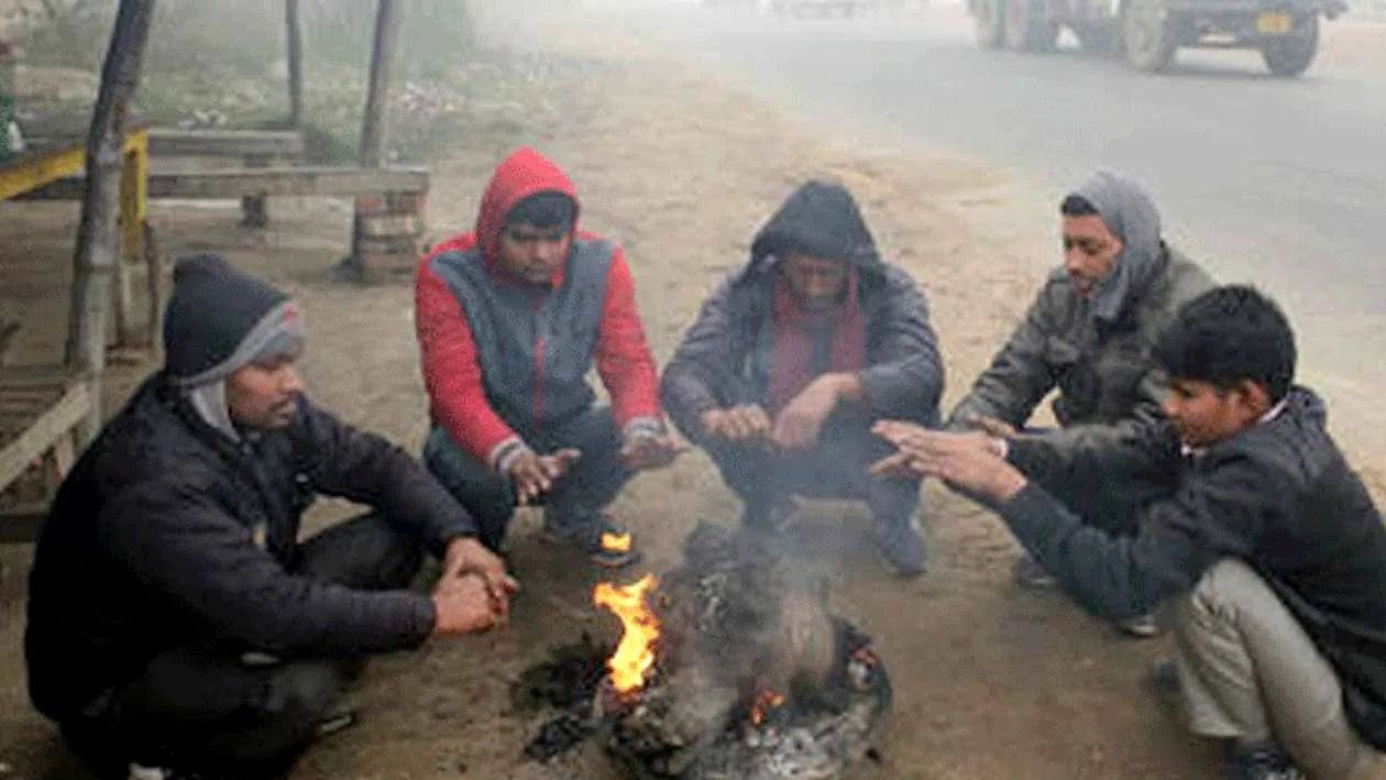 Cold Wave in North Maharashtra