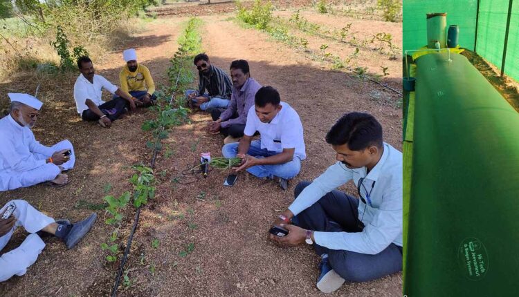 The journalist shows the direction of sustainable agriculture: Evergreen guava grown from organic farming