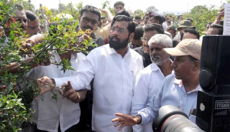 The Chief Minister inspected the damaged agriculture in Baglan taluka of Nashik district