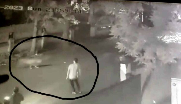 Leopard attack on Nashik Road: One person injured