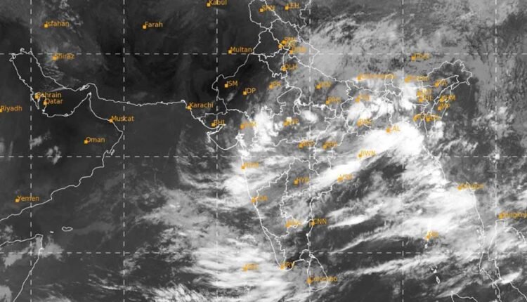 Weather Alert/Maharashtra News?Next 3 days of rain in Maharashtra: Agriculture crops get revival