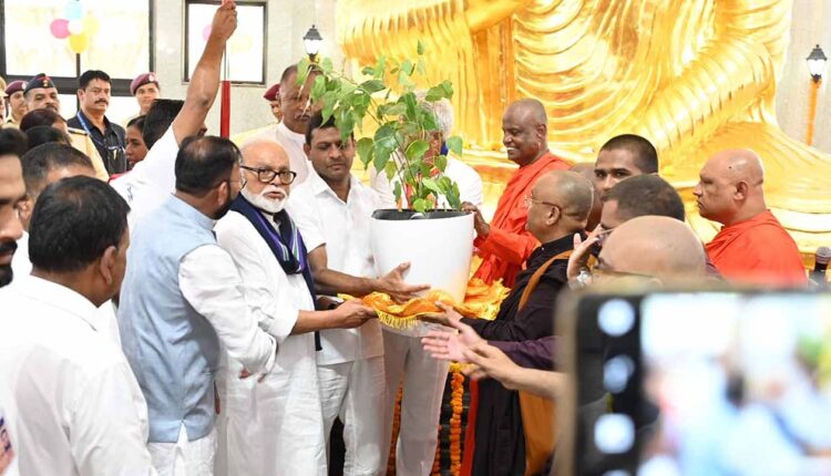 Bodhi tree is a priceless gift to Nashik and Maharashtra - Minister Chhagan Bhujbal