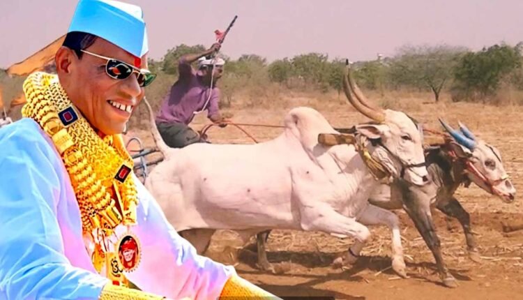 Pandhari Sheth Phadke/ Goldman': Pandharisheth Phadke, a lover of bullock cart race, passed away