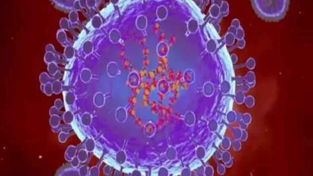 HMPV News/The first case of HMPV that wreaked havoc in China was found in India