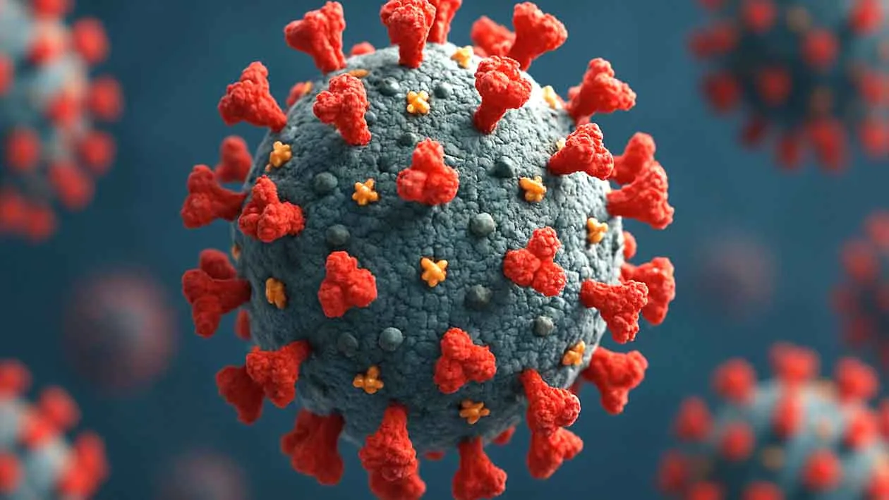 Coronavirus India 2025,Corona outbreak again in India! 1252 active patients, 76 new patients registered in the state