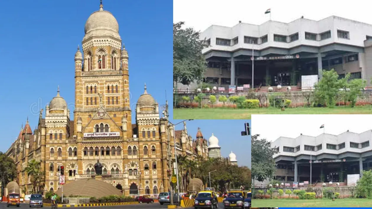 Maharashtra municipal elections 2025/Supreme Court's big decision: Orders to hold local body elections within the next 4 months