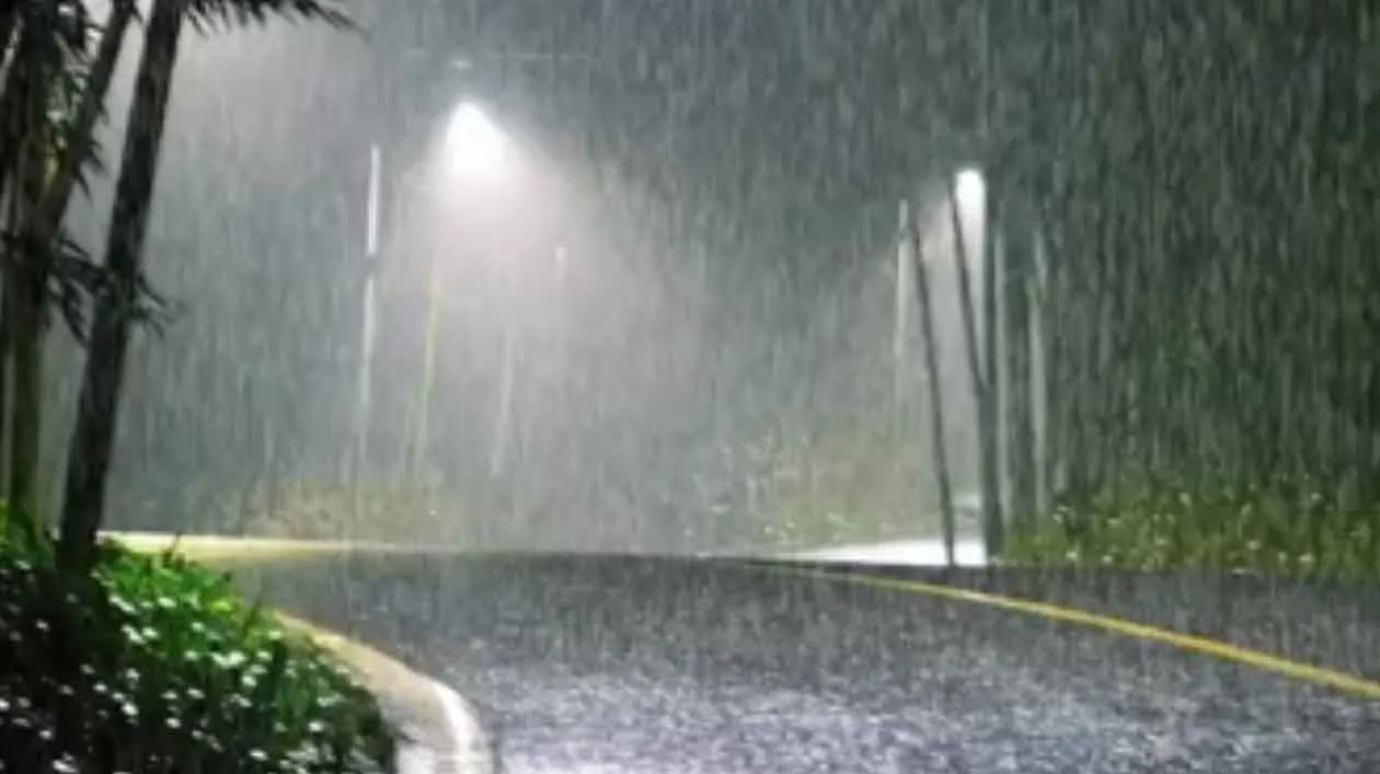 Maharashtra Rain Alert,Rains will increase again in the state, Meteorological Department has issued a yellow alert for 29 districts!