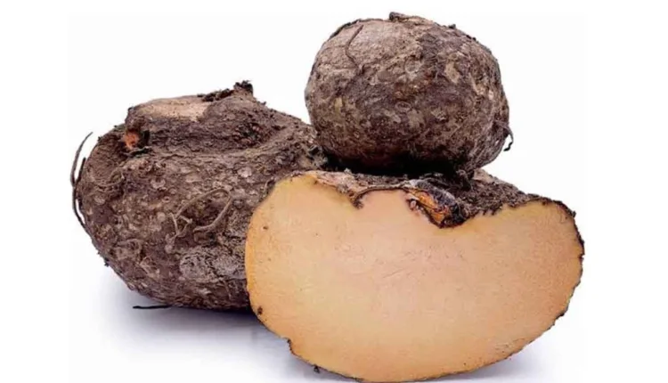 Health benefits of Suran,Health benefits of eating Suran - A natural superfood for the body